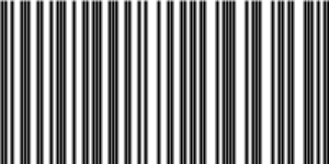 Barcode for 191329053096