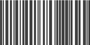 Barcode for 191329085653