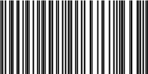 Barcode for 191329153307