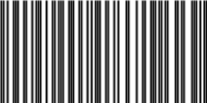 Barcode for 191329153314