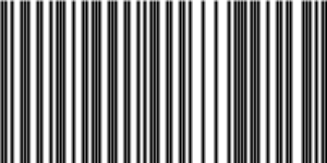 Barcode for 191329153994