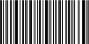 Barcode for 191329202555
