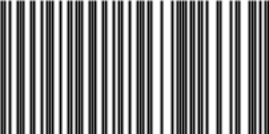 Barcode for 191329204191
