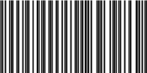 Barcode for 191329205198