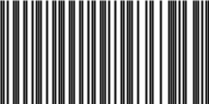 Barcode for 191329221334