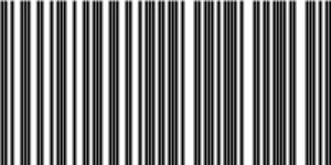 Barcode for 191329234495