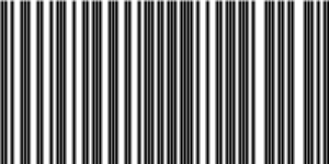 Barcode for 191329238653