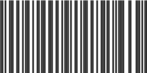 Barcode for 191329241516