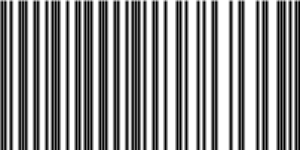 Barcode for 191329243763