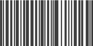 Barcode for 191329249208