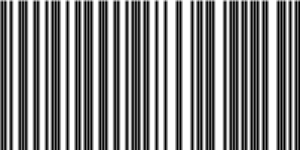 Barcode for 191329273852