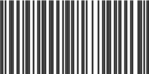 Barcode for 191329273913