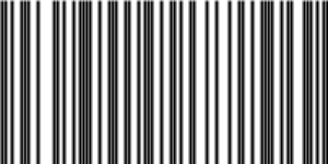 Barcode for 738329260705
