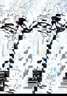 Arrow 4K