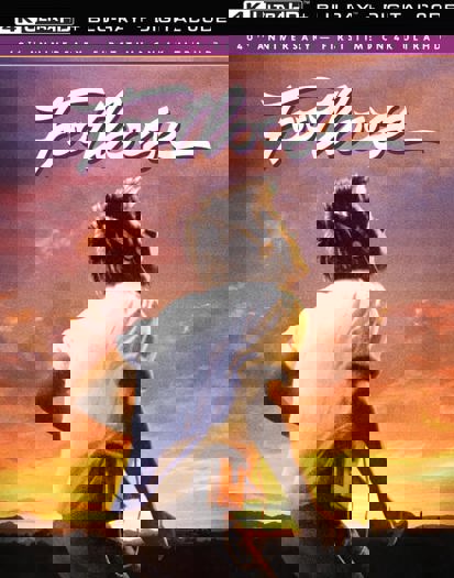 40th Anniversary 4K (2024)