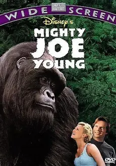 Widescreen DVD