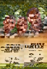 O Brother, Where Art Thou?