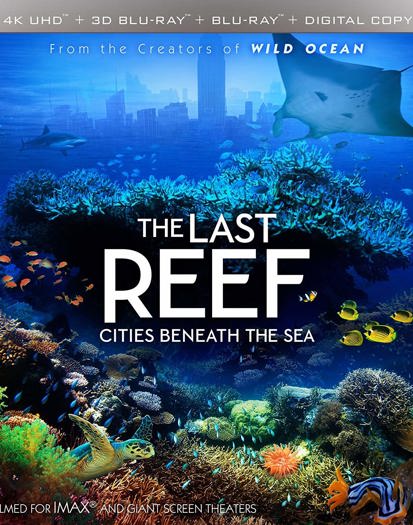 The Last Reef: Cities Beneath the Sea (2016)