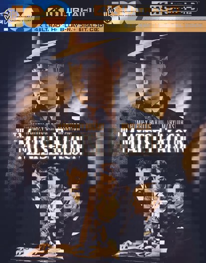 2023 4K (2023)