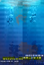 Under the Silver Lake