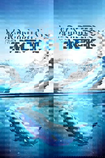 Wonders of the Arctic