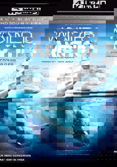 Wonders of the Arctic