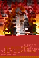 Zatoichi Goes to the Fire Festival