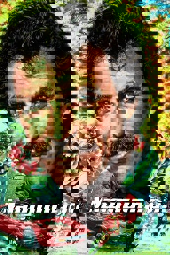 Magnum, P.I. (1980–1988)
