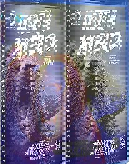 2013 2-Disc Blu-ray (2013)